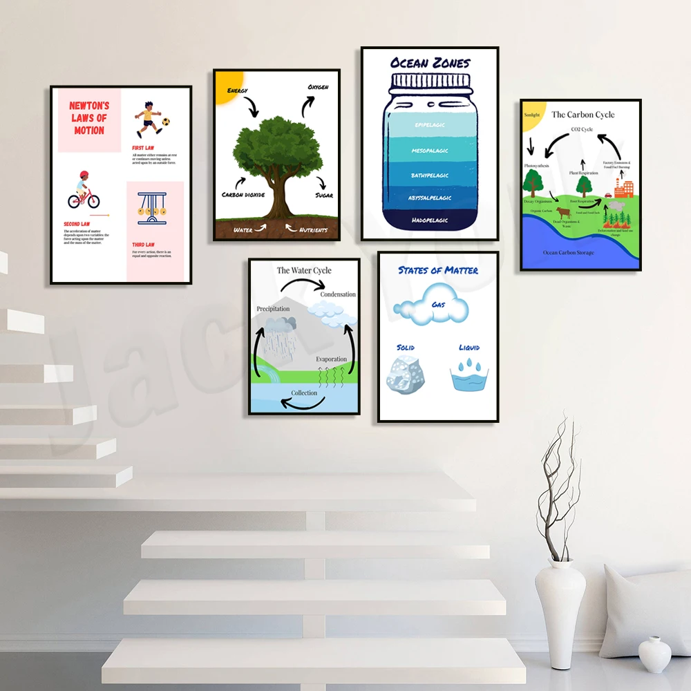 Carbon cycle poster, photosynthesis, states of matter, ocean areas, water cycle poster, Newton's laws of motion, educational art