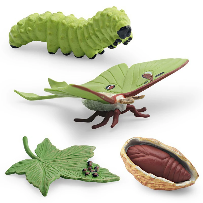 4-5PCS Simulation Life Cycle Model Creative Ornament Growth Figure Mutiple Insect Animals Plant Available Home Decoration QC-ZYF