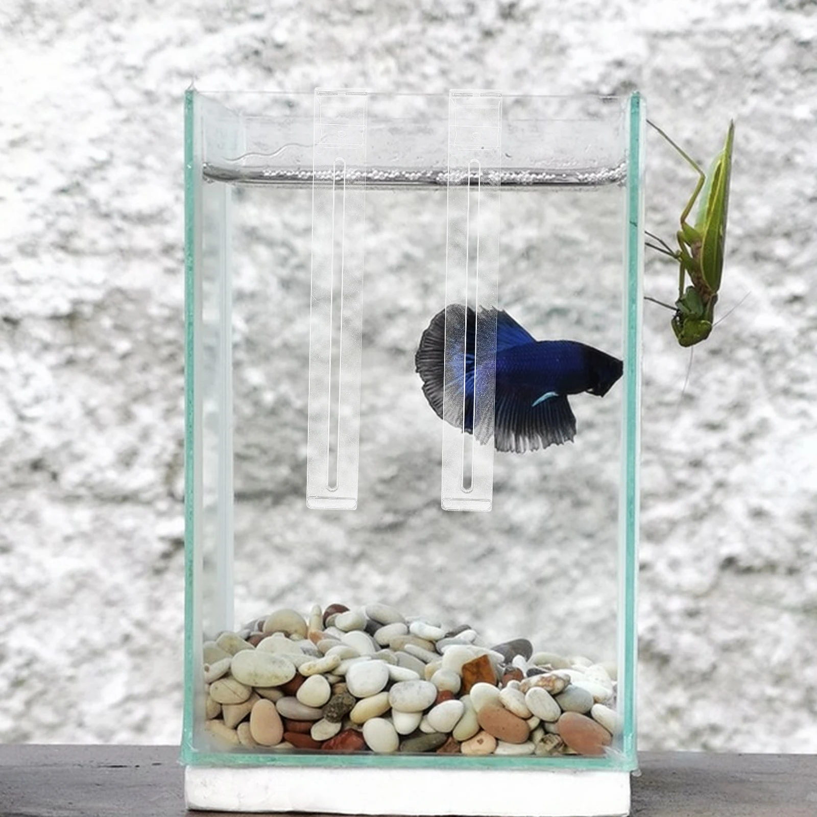 

Aquarium Hook Clear Hangers Kit Supplies Plant Tools Adjustable Terrarium Tropical Accessories Betta Fish Tank Hanger Aquarium