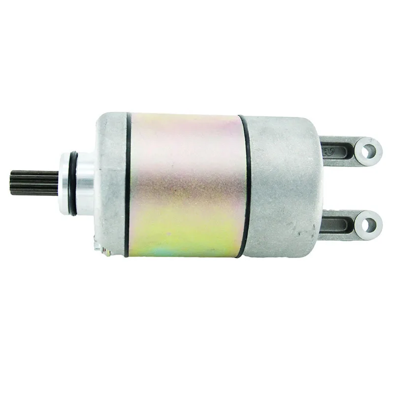 

Motorcycle Parts Starter Motor 250CC 300CC