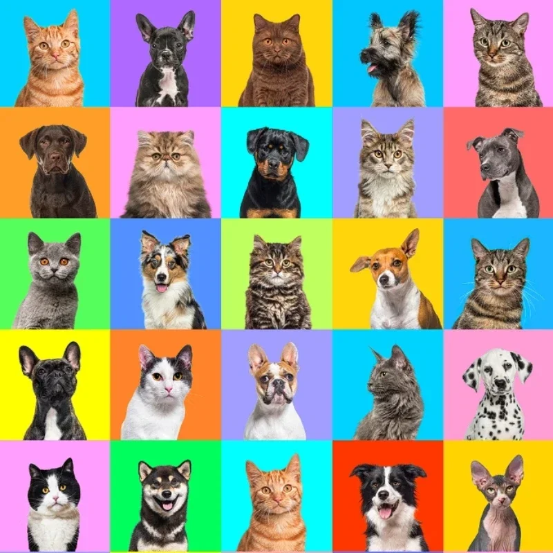 

Красочный коллаж для домашних животных, бумажная головоломка для взрослых, 1000 шт., пейзажная плоская головоломка, декомпрессионная головоломка высокой сложности, игрушка в подарок, хит продаж