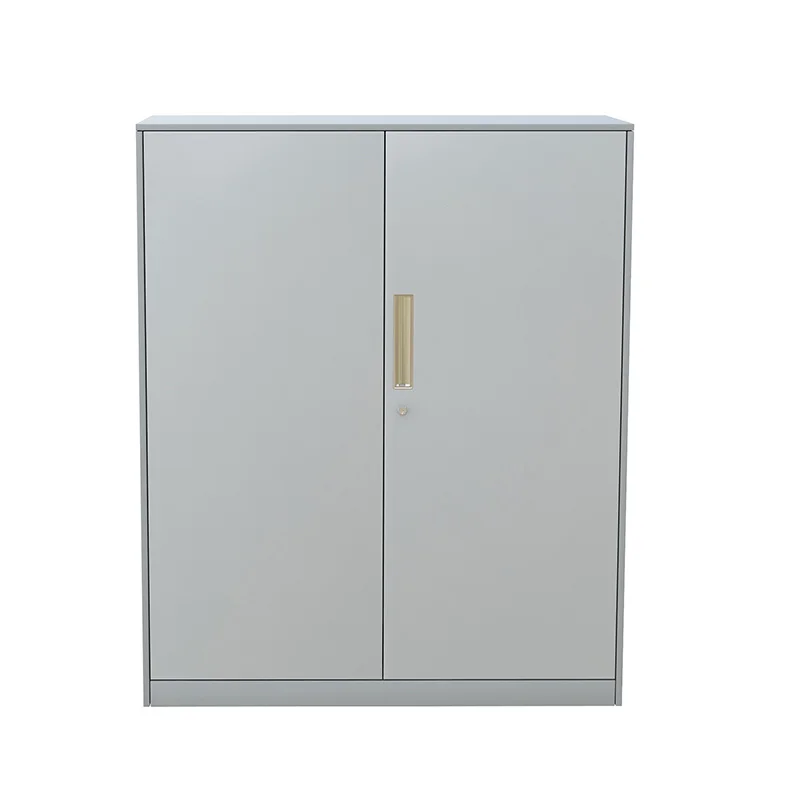 Two Door Office Furniture Small Vertical Steel File Storage Cabinet Office Low Storage Cabinet