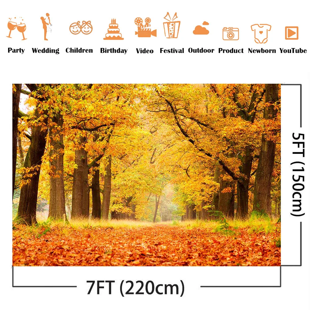 Fall forest backdrop for photography Autumn fallen leaves trail photo background studio portrait photographic backgrounds