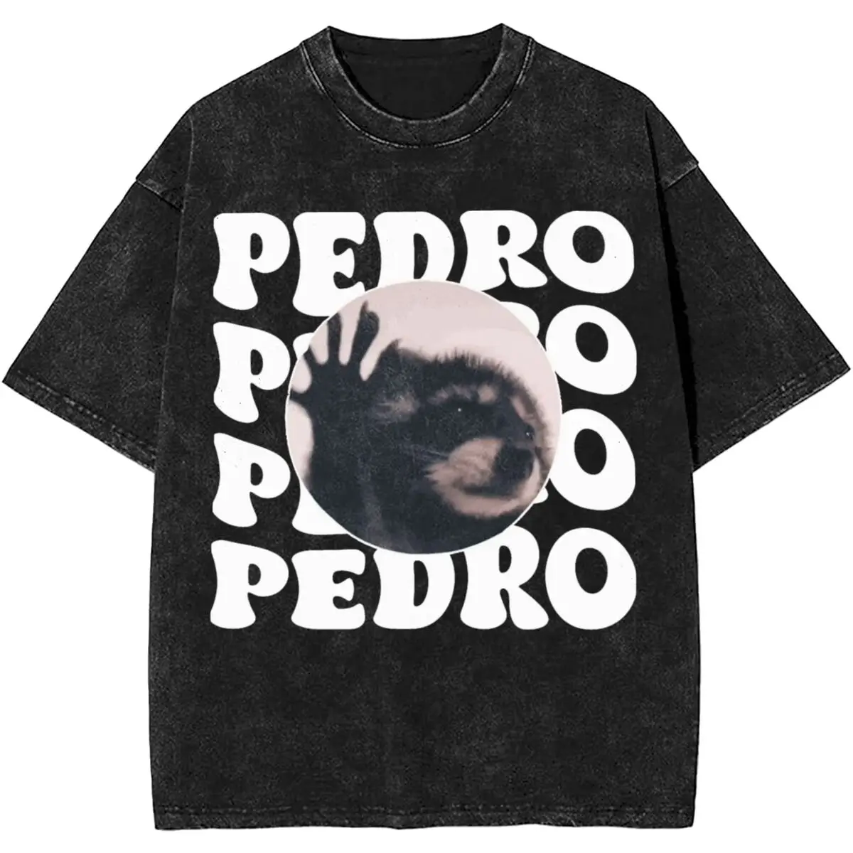 Summer Pedro Raccoon Dancing Popular T Shirts Outfit for Men Women Cute Raccoon Meme Tees Tops Oversize T-shirt