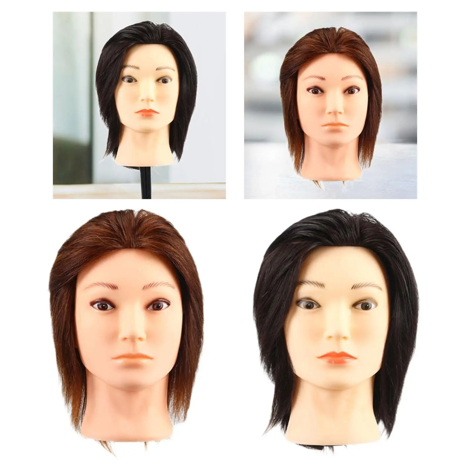 

Hairdressing Training Head Human Hair Mannequin Heads Professional Sturdy Hairstyling Hairdressing Head Model for Washing