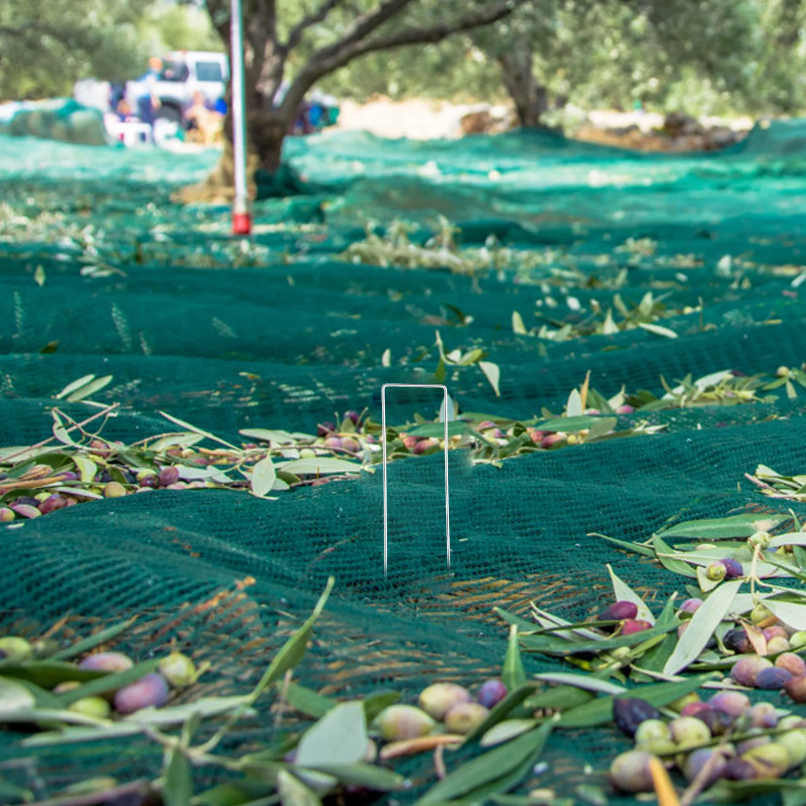 50Pcs U-Shaped Zinc Plated Steel Ground Pegs 2.5x40x200mm Perfect for Garden Use Tent Stakes Lawn Fixing Garden Stakes