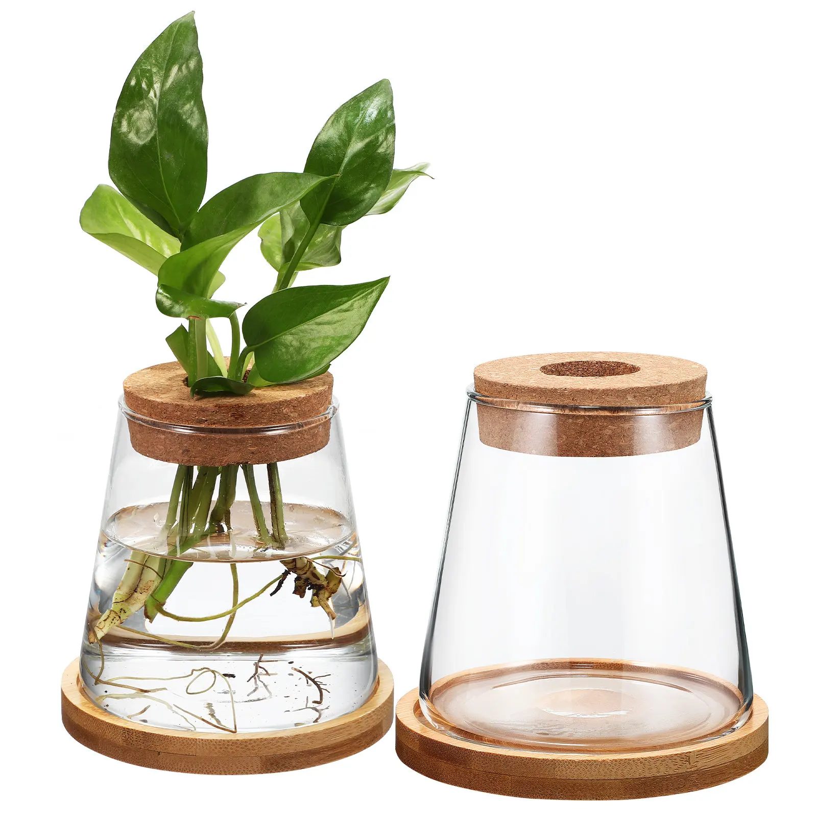 2 Macetas de Vidrio Transparente para Plantas Hidropónicas y Cría de Peces Dorados, con Base Estable, 330 ml, Estación de Propagación