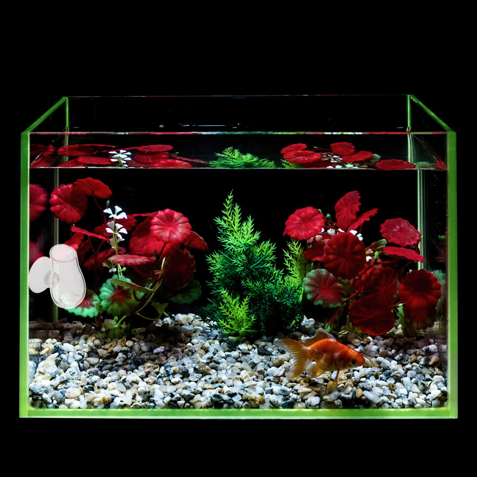 

Glass Aquarium Fish Feeder Durable Compact Feeding Cup for Red Worm Brine Shrimp Blood Worm Fish Food Aquarium Feeder