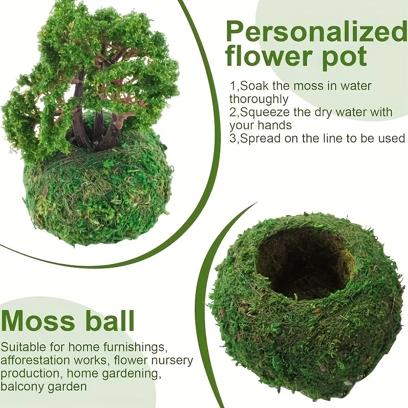 Künstlicher Moosball-Pflanzgefäß, Natürlicher Grüner Bonsai-Pflanzenbehälter, Garten-Mikrolandschaft Dekorativer Moos-Topf für Haus und Garten D – Detail 3