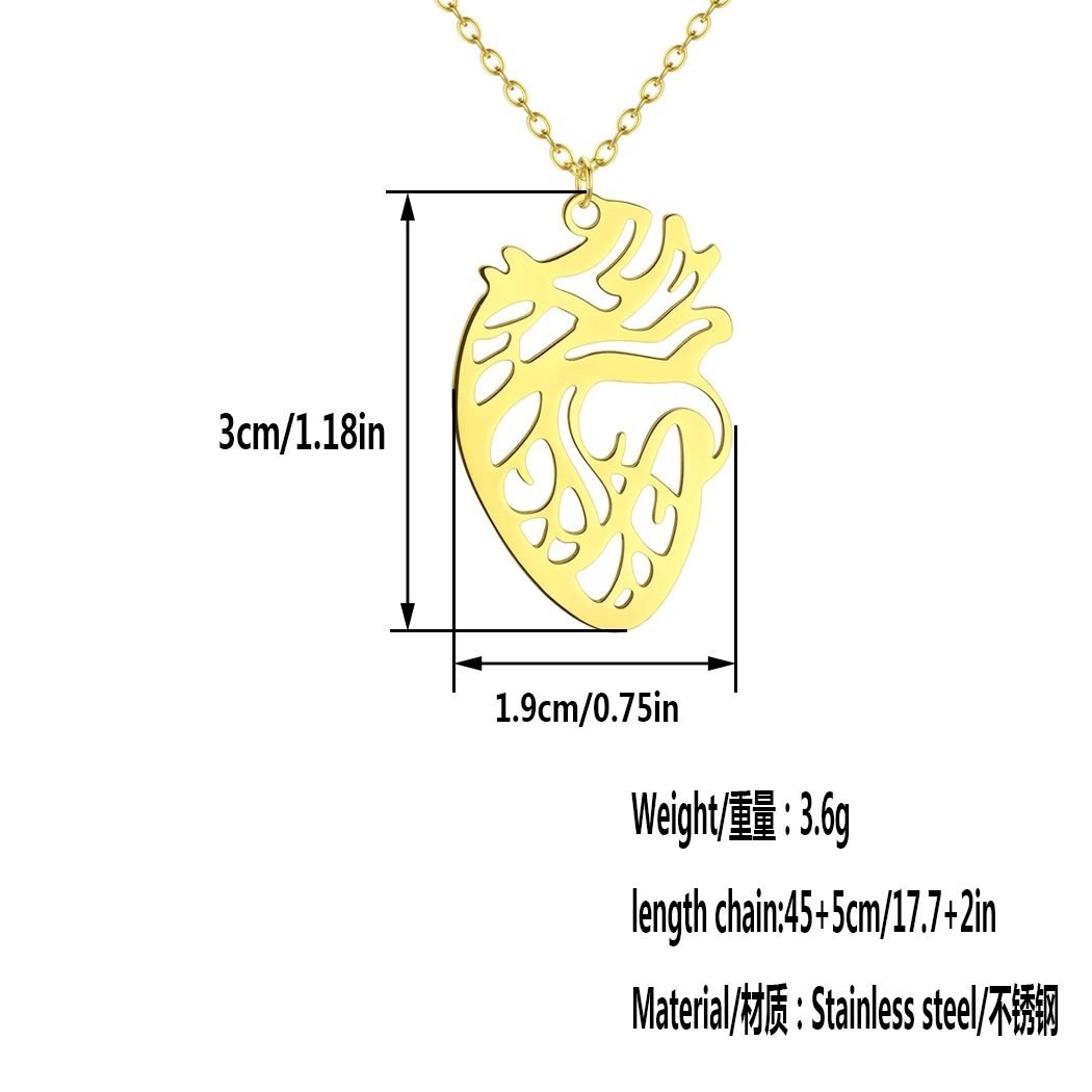 قلادات من الفولاذ المقاوم للصدأ للرجال والنساء ، بشرية بسيطة ، تشريحية ، قلب ، قلادة عضو ، هدية