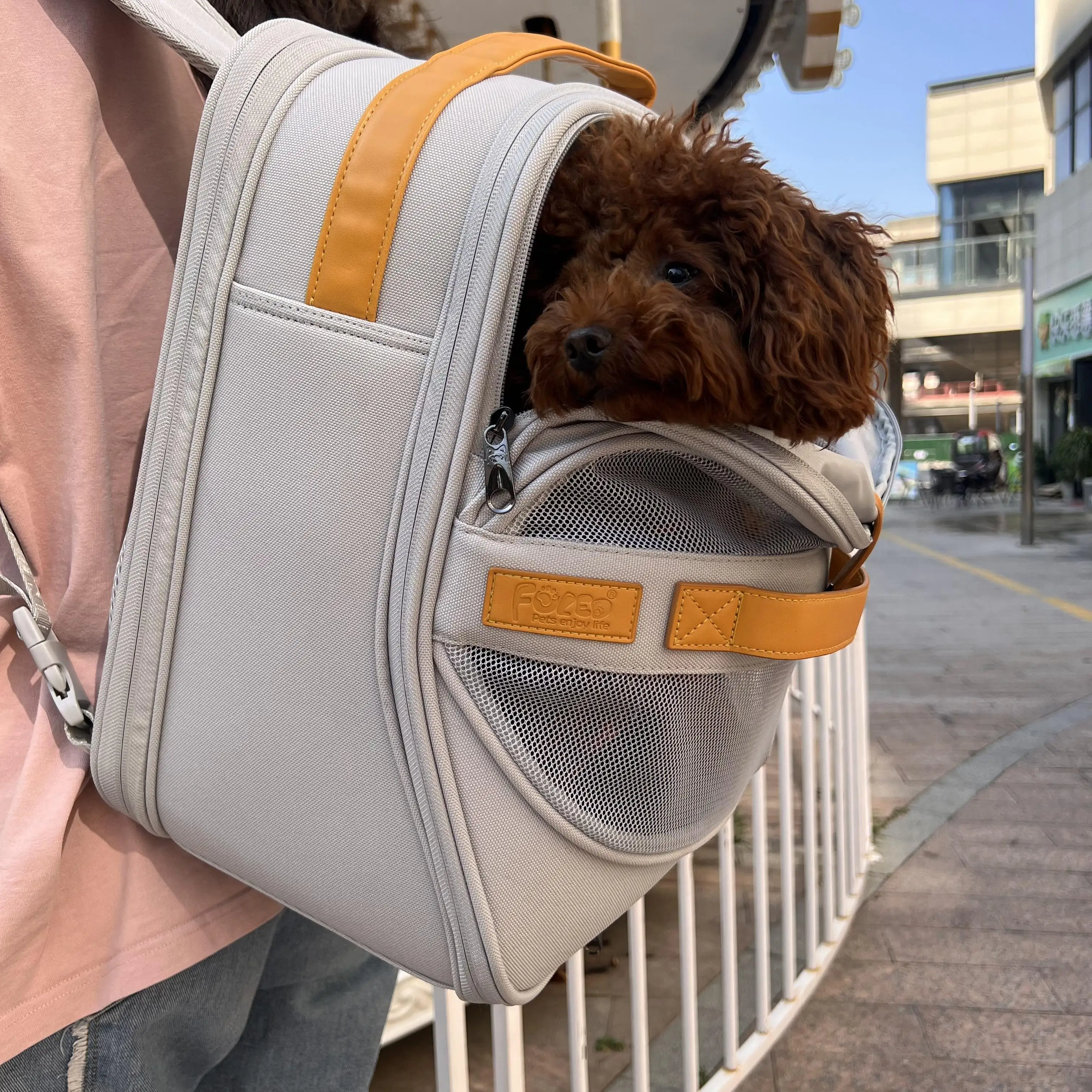 

Dog Carrier Backpack Pet Carrier Backpacks for Small Medium Dogs Cats Breathable Cat Head Out Carrier Backpack