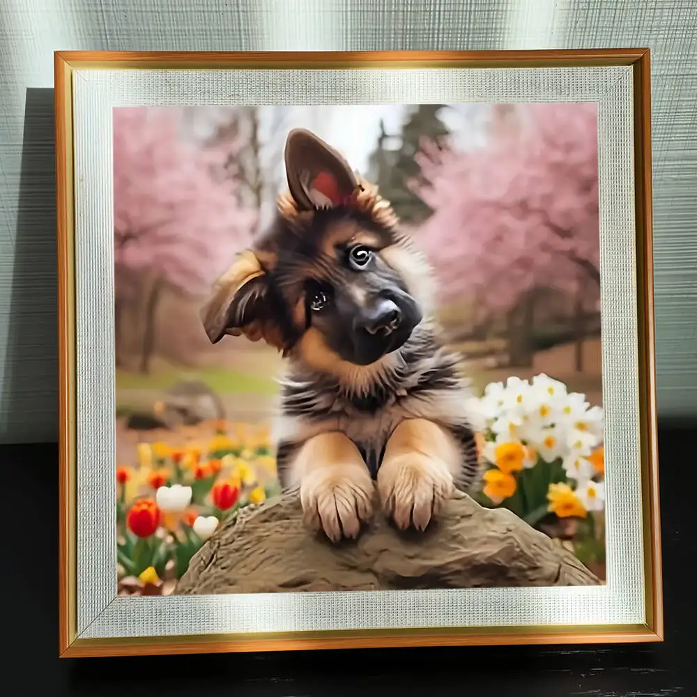 EverShine 5D Diamant Malerei Hund Katze DIY Mosaik Voll Platz Runde Bohrer Stickerei Tier Strass Bilder Hause Freizeit Geschenk