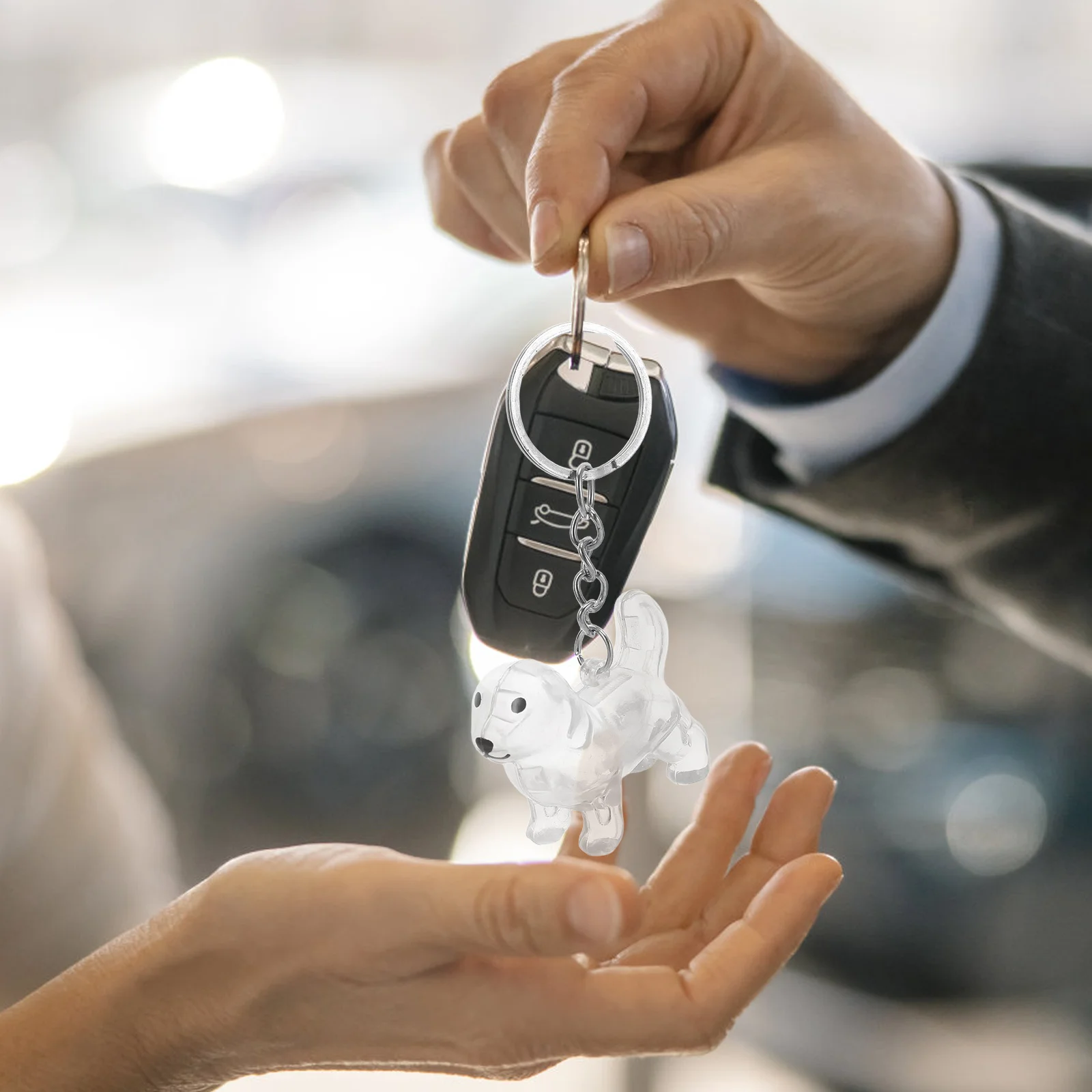 

2Pcs Transparent Pet Hair Keychain Dog Cat Keepsake Organizer Memorial Box Portable Pendant Pet Hair Keychain Car Key Holder