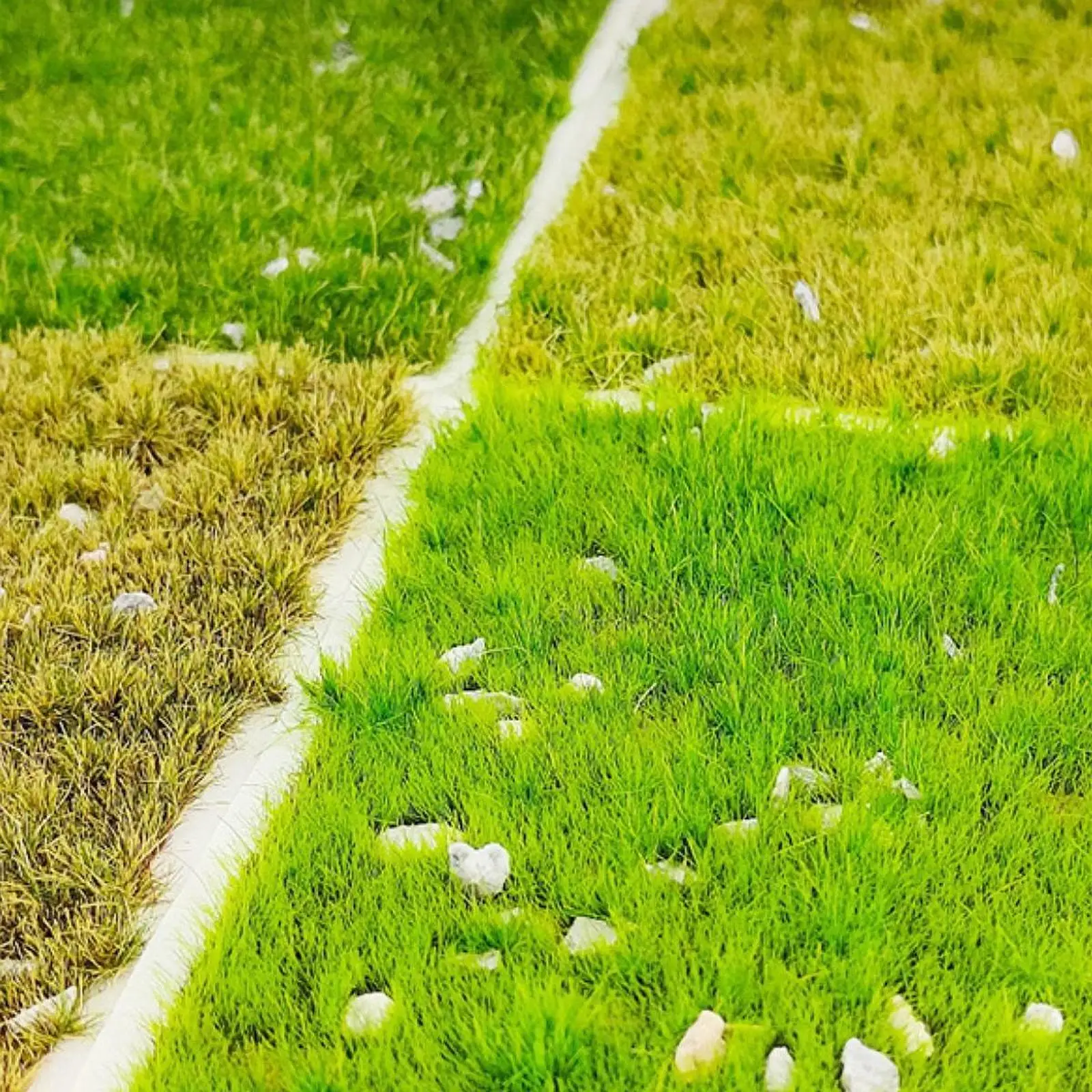 Static Grass Tuft Model, Miniature Grass Cluster for Railroad Scenery, Sand Layout Model, DIY Model Ornament