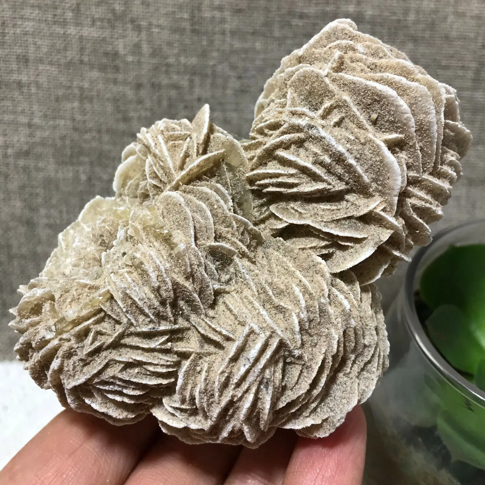 

Natural Desert Rose Specimen Cluster, Raw Selenite Crystal Quartz Rock Cluster Collection, Mineral Reiki Treatment Stone Degauss