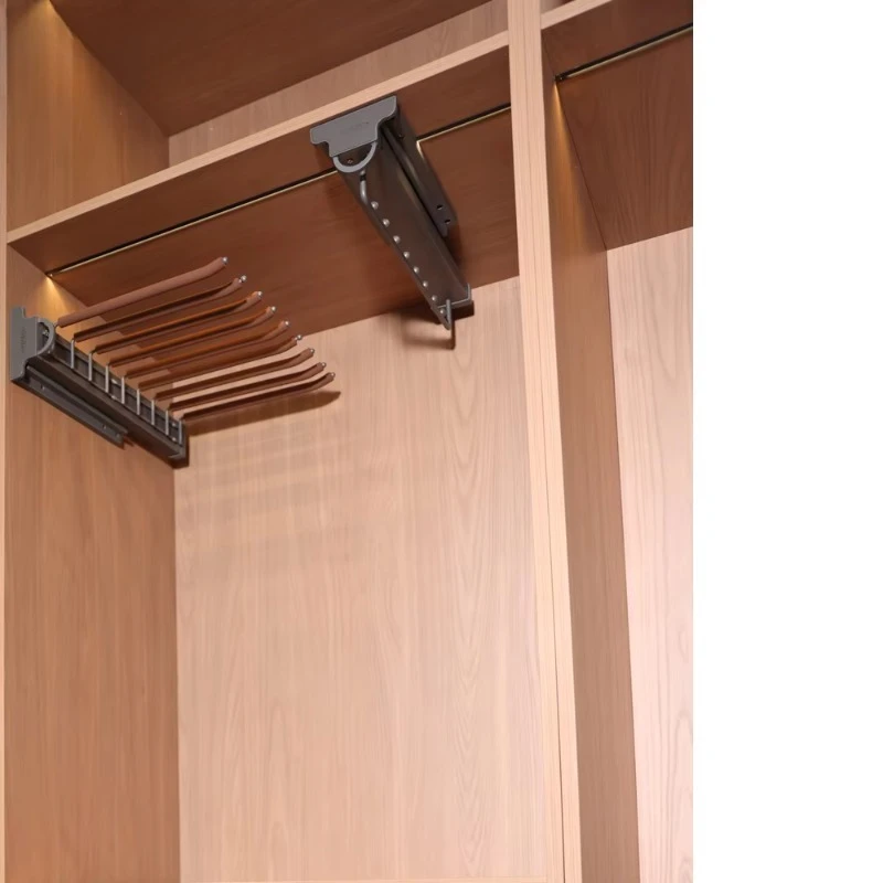 

Modern Home Luxury Design Bedroom Wardrobe Hanger Bedroom Cloakroom Hardware Furniture