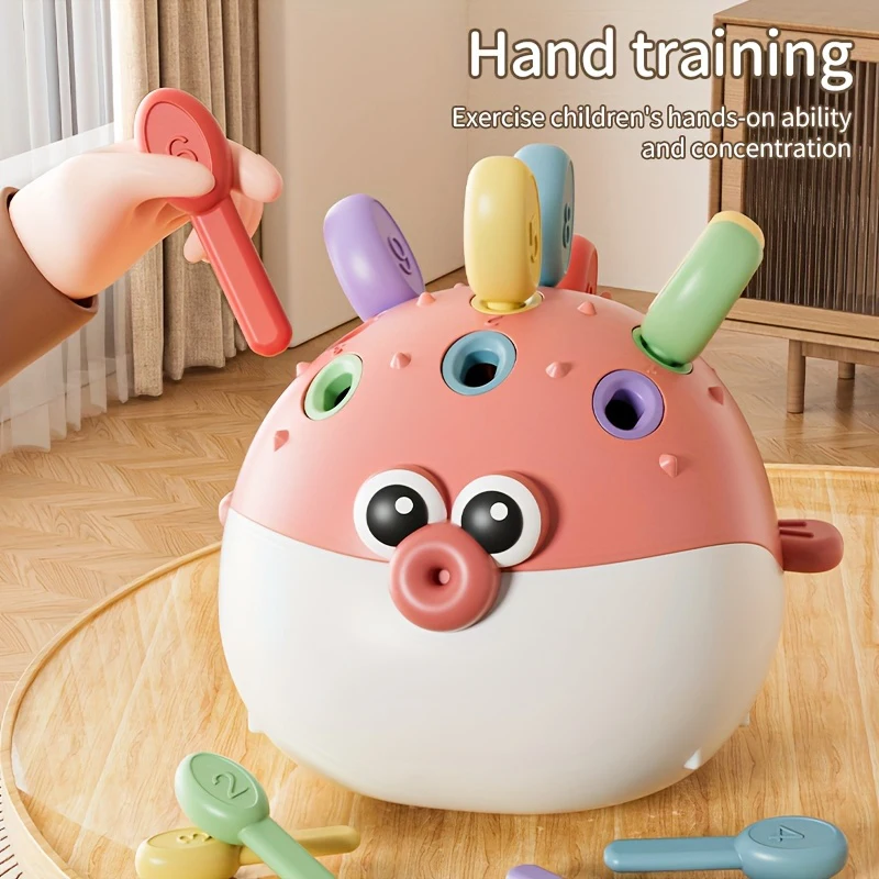 Early education focuses on training babies' fine finger movements hand eye coordination and pairing with pufferfish puzzle toys