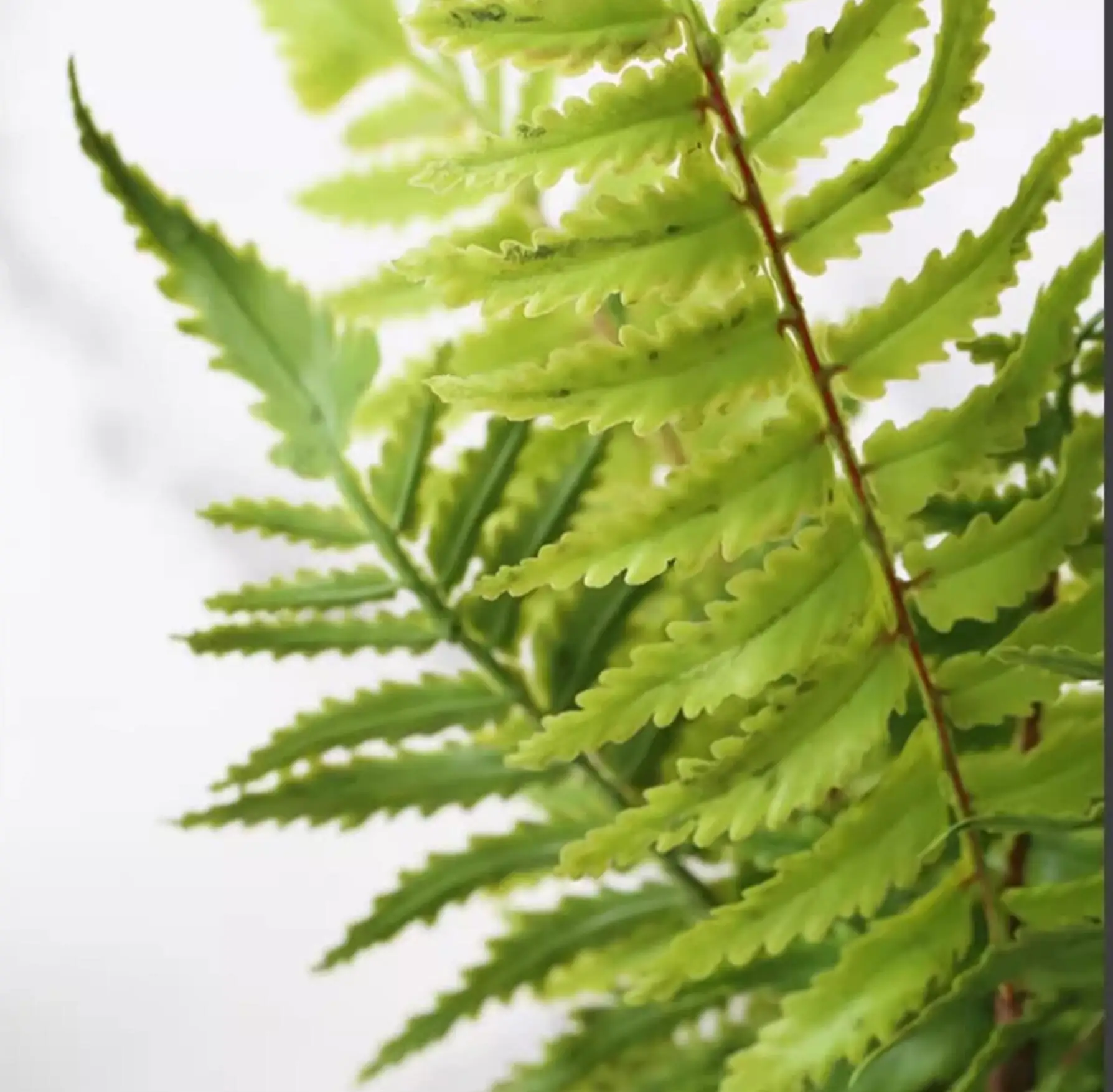 Artificial Fern Leaf Persian Grass Plant Wall Accessories Greening Materials DIY Landscaping Home Hotel Office Decoration