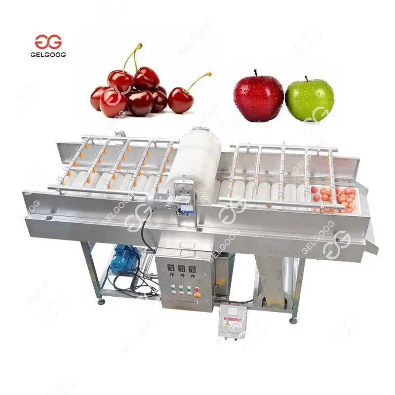 Automatic Roller Brush Vegetable Fruit Brush Cleaning Machines Rotary Brush for Vegetable Washing Machine