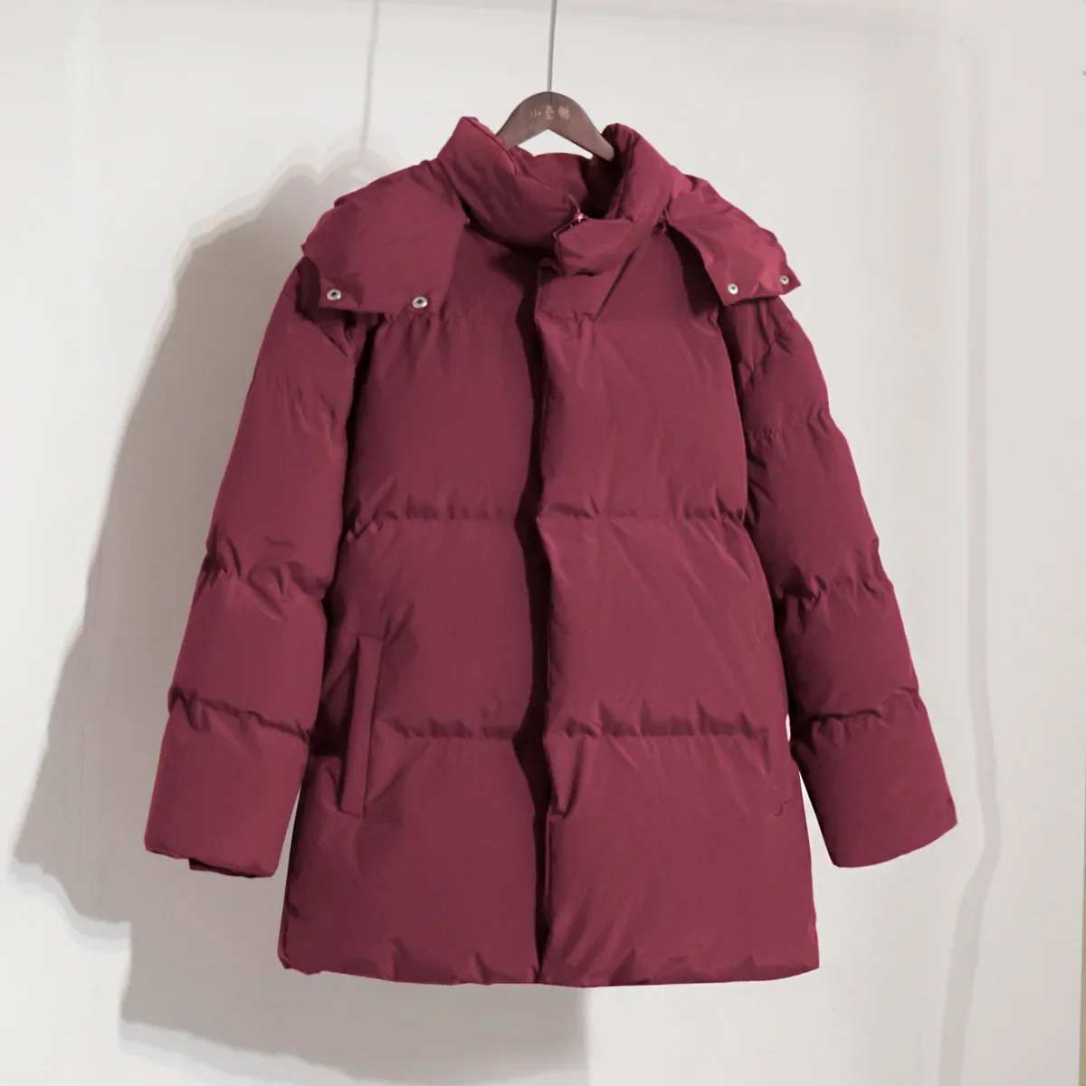 Chaqueta acolchada con capucha para mujer, abrigo cálido con cremallera, talla suelta, Color sólido, Invierno