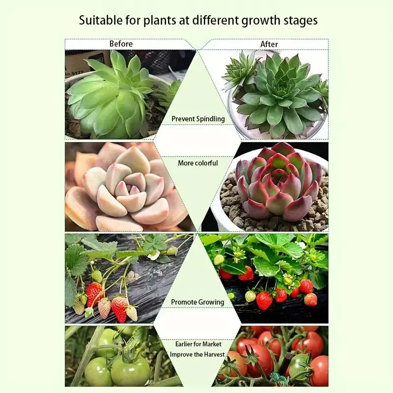 Luce per piante a LED a collo di cigno regolabile, timer automatico di accensione/spegnimento 3/9/12 ore per la crescita di piantine e piante grasse interne