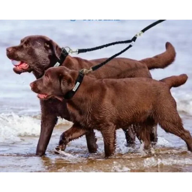 الطريق حبل مرن صغير متوسط مزدوج التدريب المقرنات للكلاب الموسعة الرصاص 2 حزام الحيوانات الأليفة في الهواء الطلق المقود الاشياء كبير الكلب المقود اثنين #3