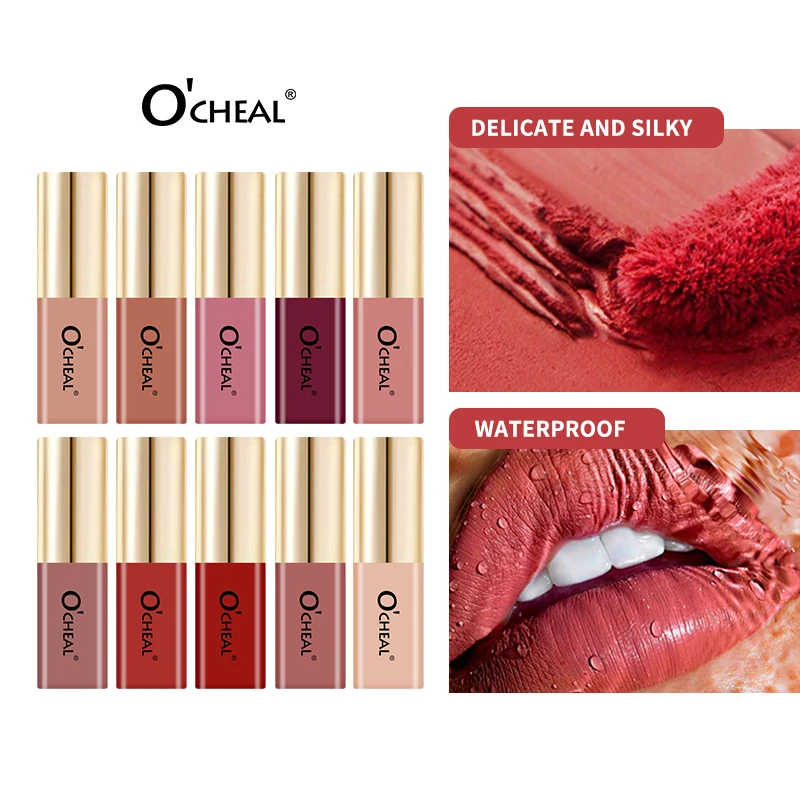 Mini Velvet Matte Lip Gloss 10 Shades Waterproof Long Lasting Liquid Lipstick Non Stick Cup Nude Pink Purple Cosmetic