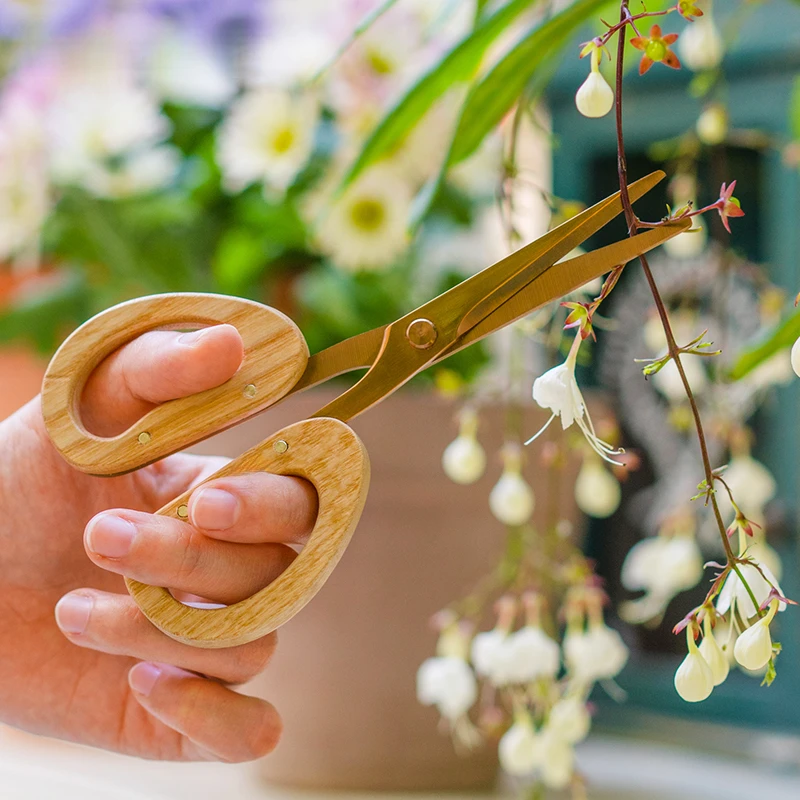 

Садовые ножницы из нержавеющей стали с деревянной ручкой для обрезки растений в горшках и сбора бутонов