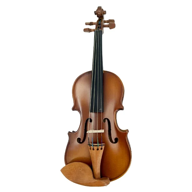 Advanced professional handmade stringed instrument China made brand 4/4 44 violin estuche de violin