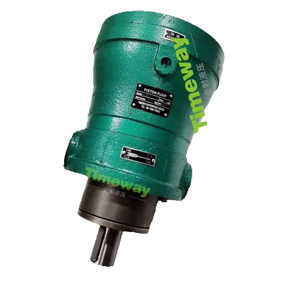 63MCY1B Hydraulic Pump 63MCY14-1B Axial Piston Pump for Press Brake Bending Machine 31.5Mpa