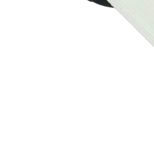 Barra de cepillo principal y juego de filtros lavables para aspiradora Miele For-Triflex serie HX1, compatible con HX1 Pro y HX1