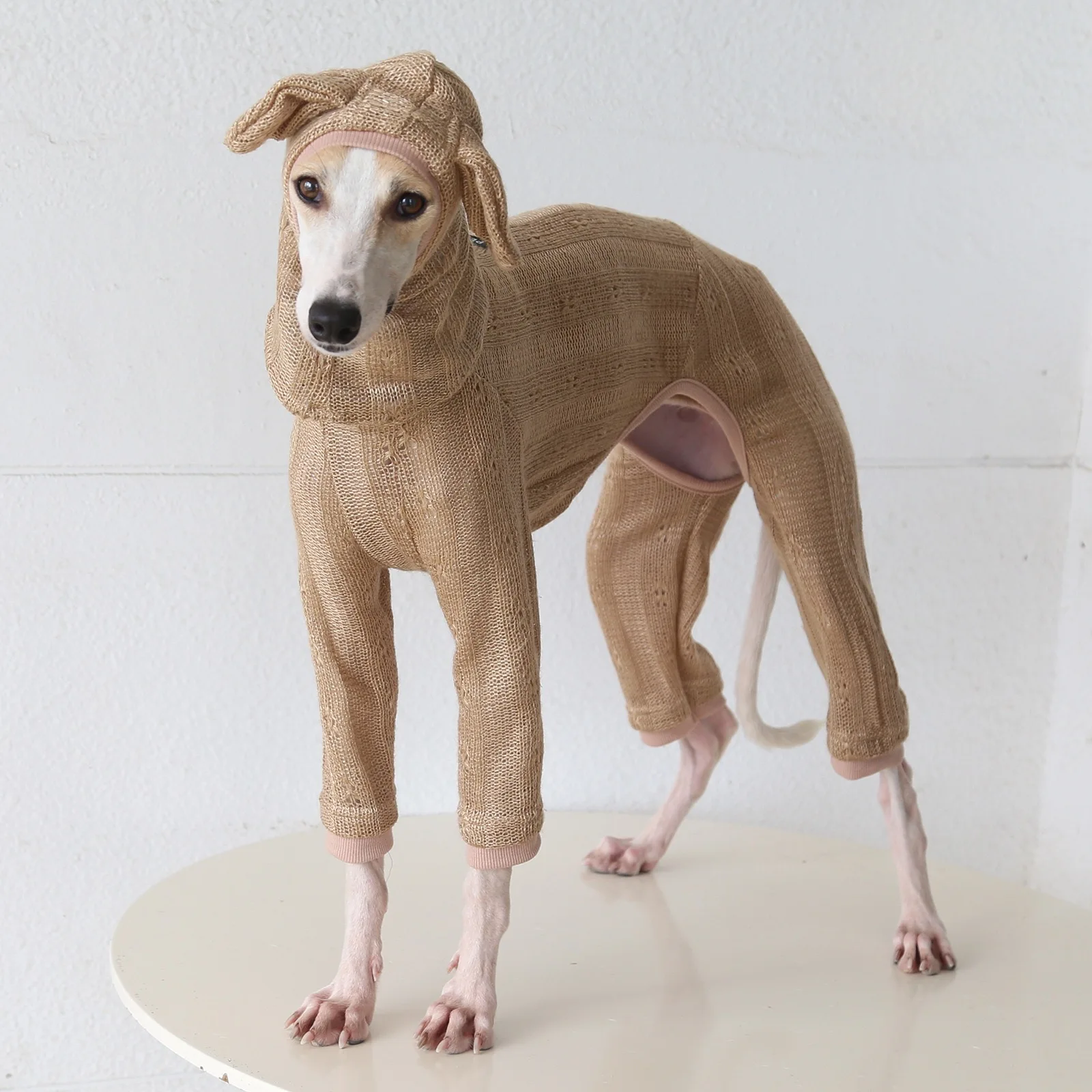Lieflijke, warme trui met hoge hals en capuchon, met vier poten, voor kleine greyhounds, geschikt voor lente en herfst, en voor kleine tot middelgrote whippet-honden.