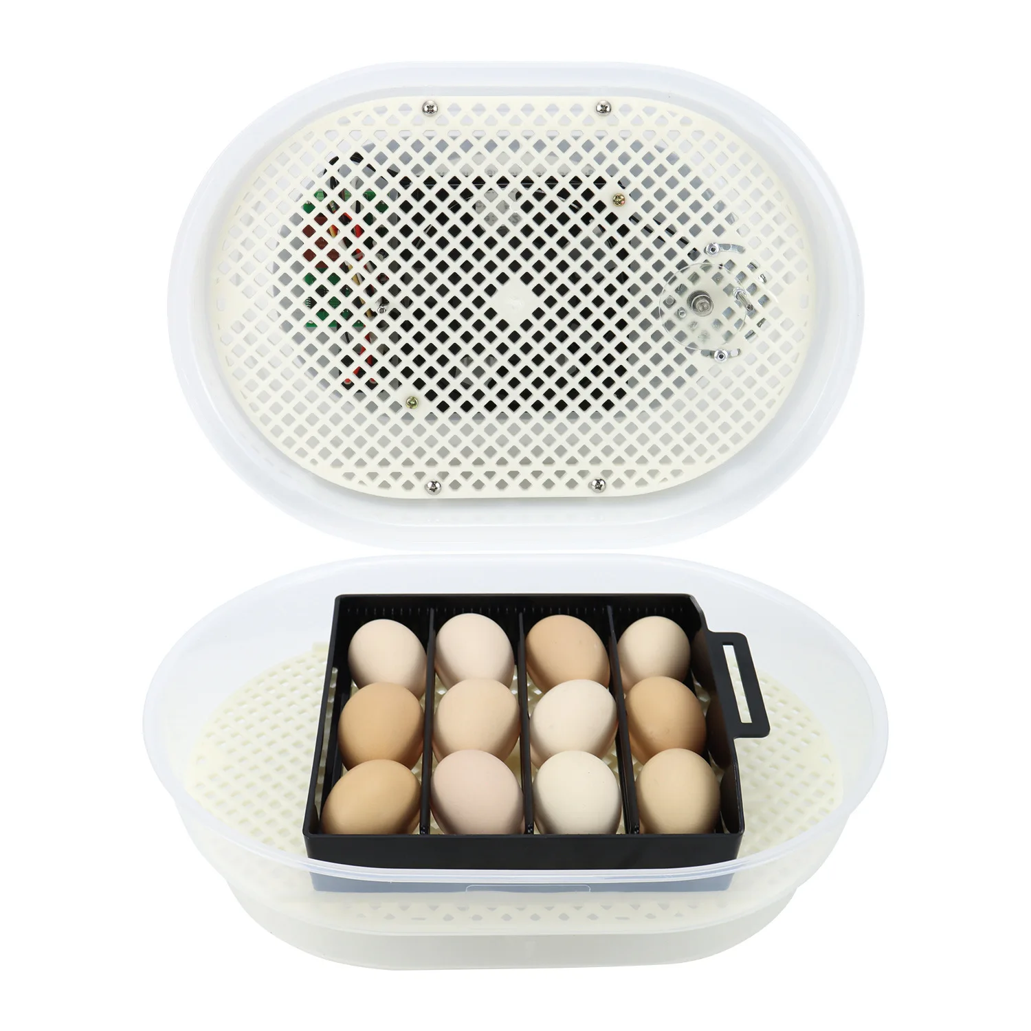 Mini Automatic Digital Egg Incubator JN12, Hatcher, Brooder, Setter farm egg incubator 9eggs incubator