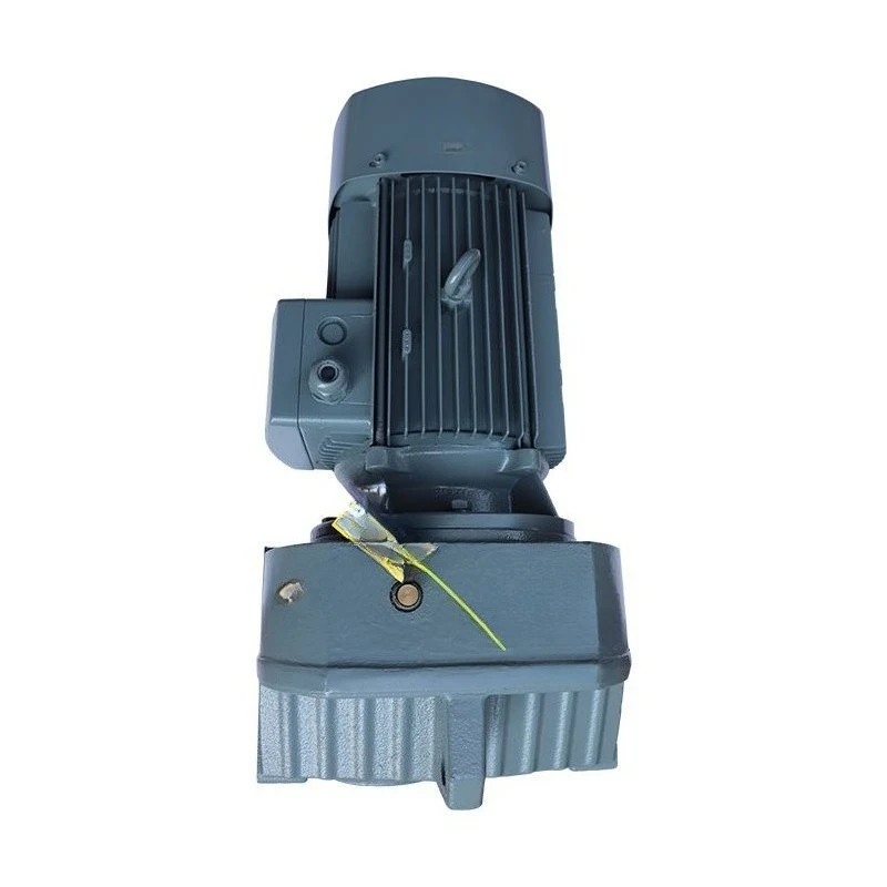 Parallel shaft helical gear reducer hollow shaft