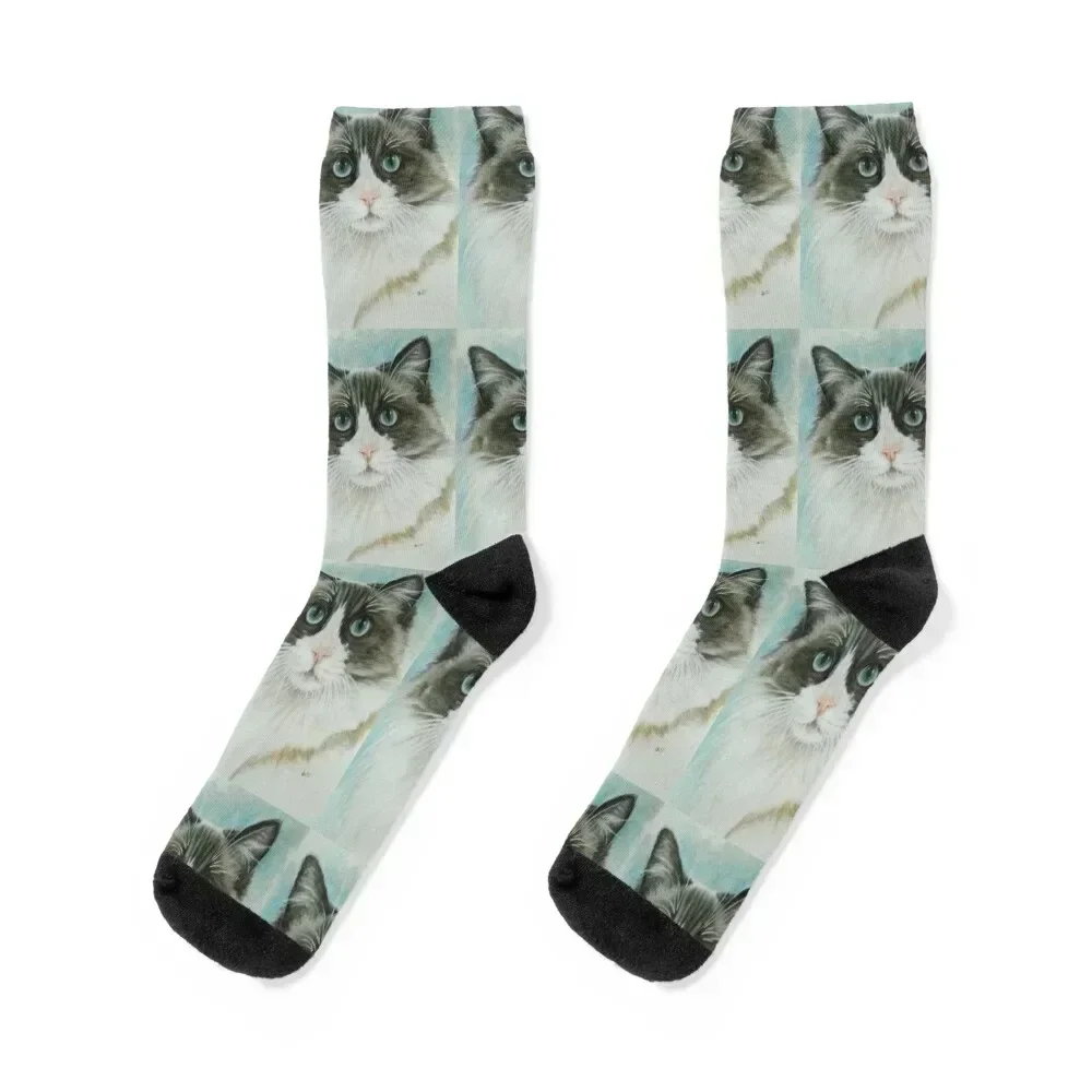 

Ragdoll Portrait in Color Socks designer cool Children's basketball Man Socks Women's