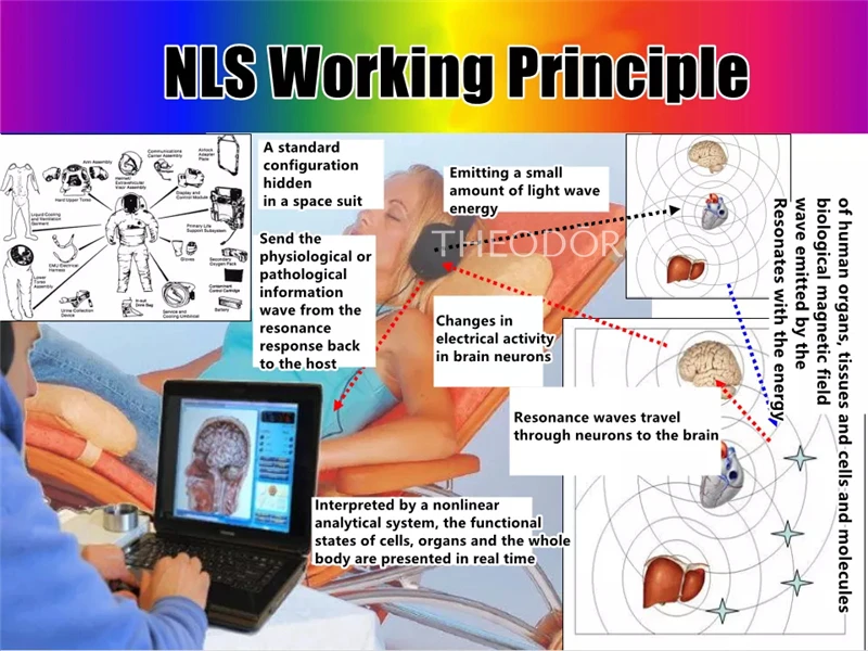 9D CELL NLS analizzatore di salute del corpo sistema di analisi Non lineare dispositivo di diagnosi Scanner Quantum Bio Resonance Frequency Therapy