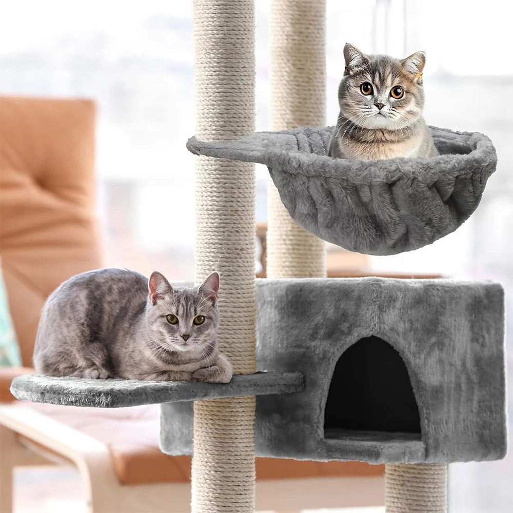 : Gato Hammack