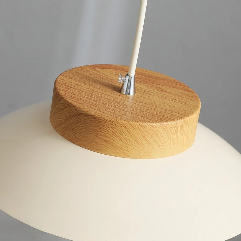 Lampada a sospensione creativa da tavolo a LED Lampada a sospensione da comodino per camera da letto Lustre Lampadario Lampada a sospensione Sala da pranzo Ristorante