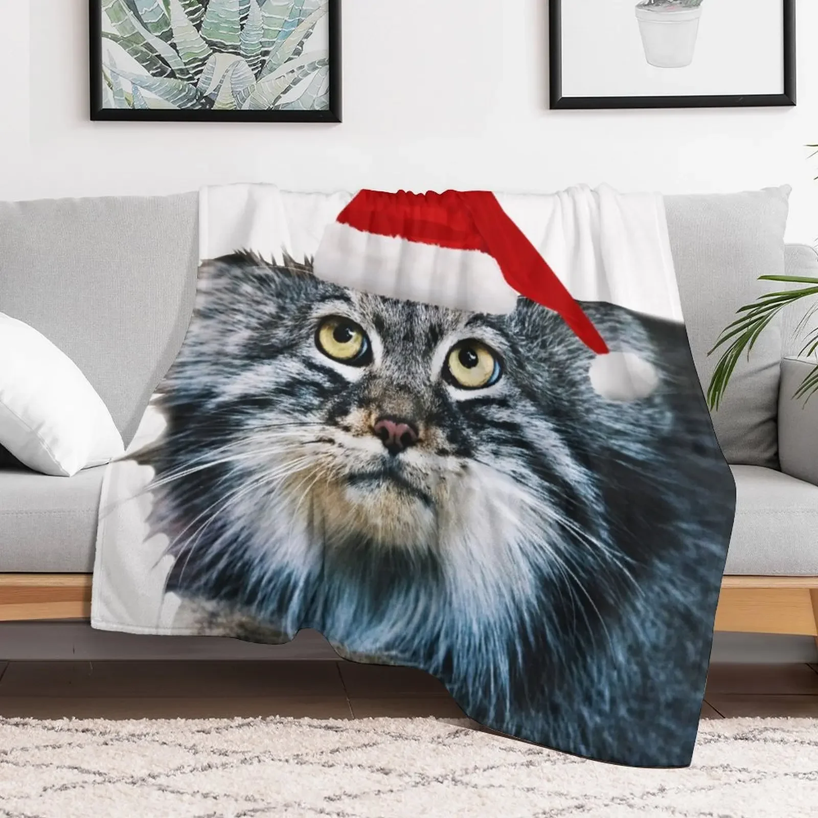 Christmas Pallass Cat Throw Blanket Personalized Gift anime Blankets