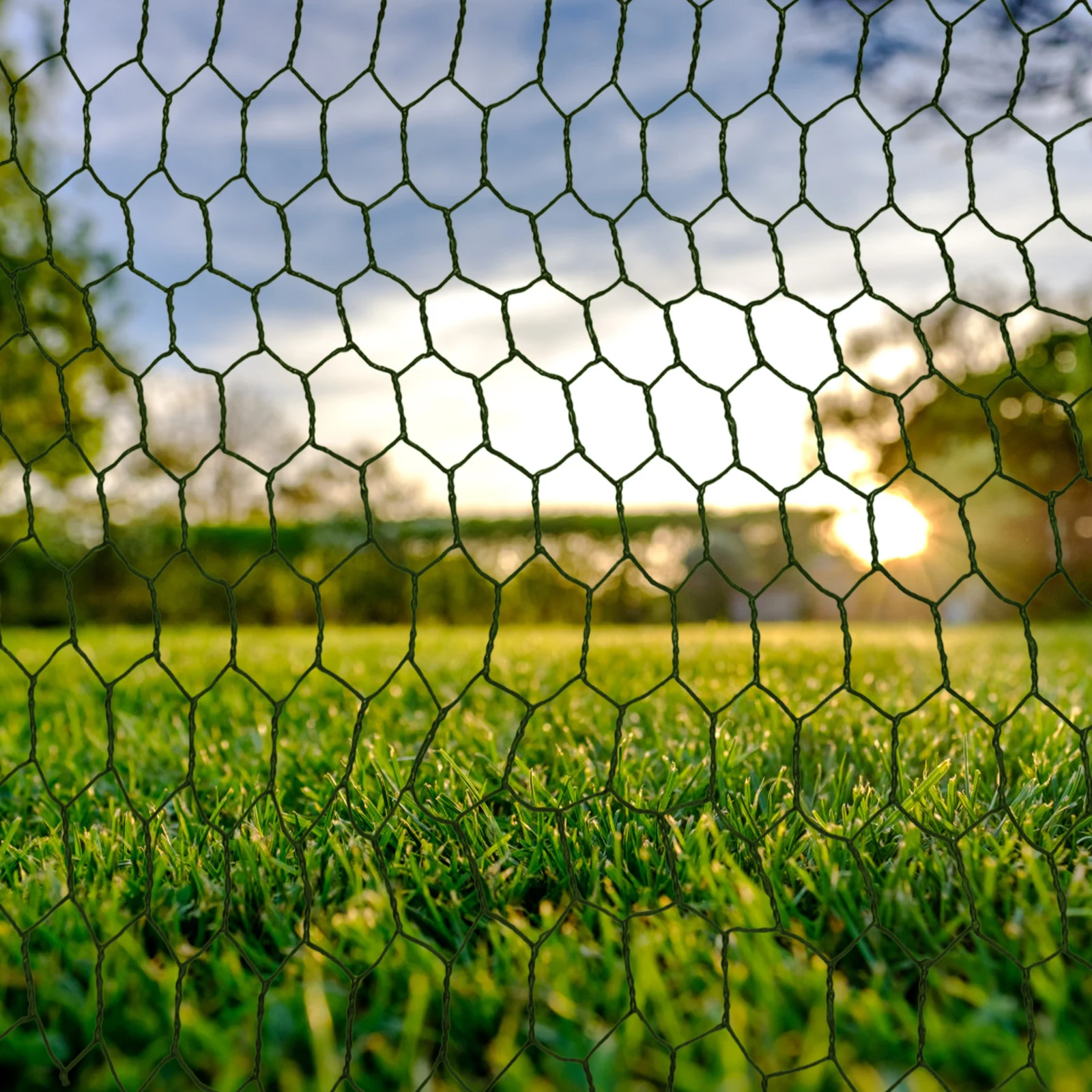 

Weather Resistant Green Coated Hexagonal Wire Netting For Crafting And Plant Protection