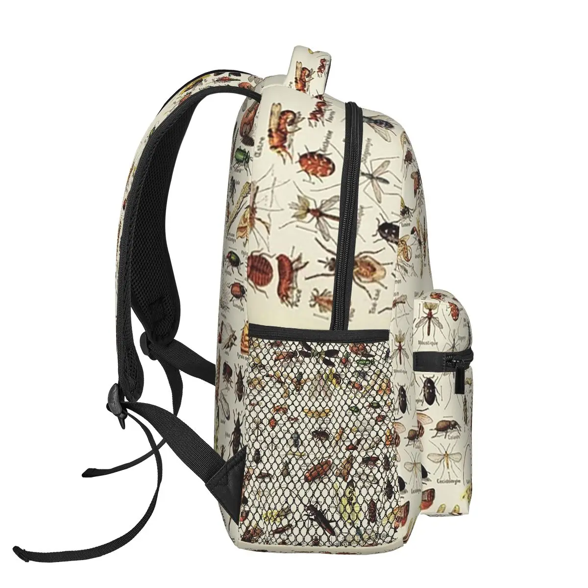 Insects Chart. Scientific Illustration, Text In French Backpacks Boys Girls Bookbag Children Bags Laptop Rucksack Shoulder Bag