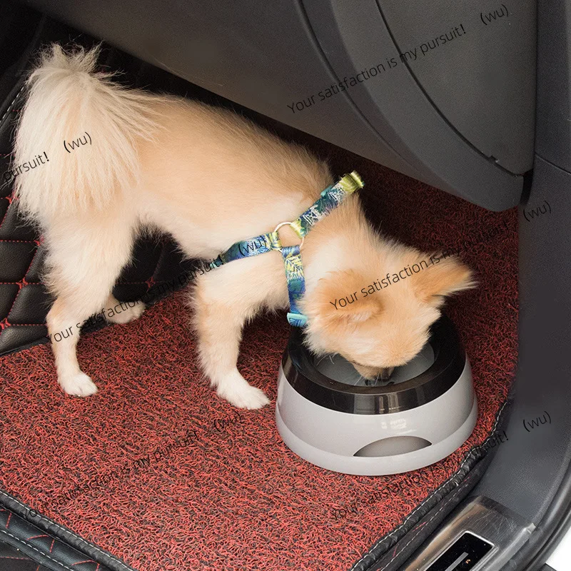 Plastic portable, pet drinking water feeder