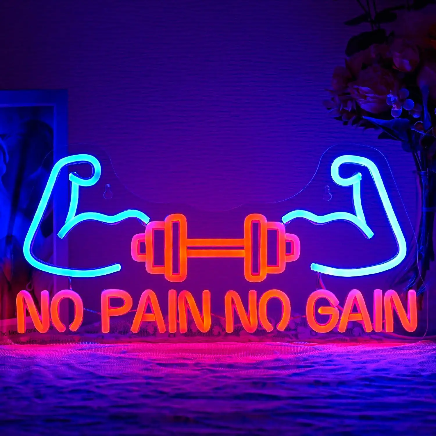 no-pain-no-gain-neon-sign-usb-dimmable-led-neon-lights-for-gym-fitness-club-store-exercise-room-decoration-wall-light-gifts