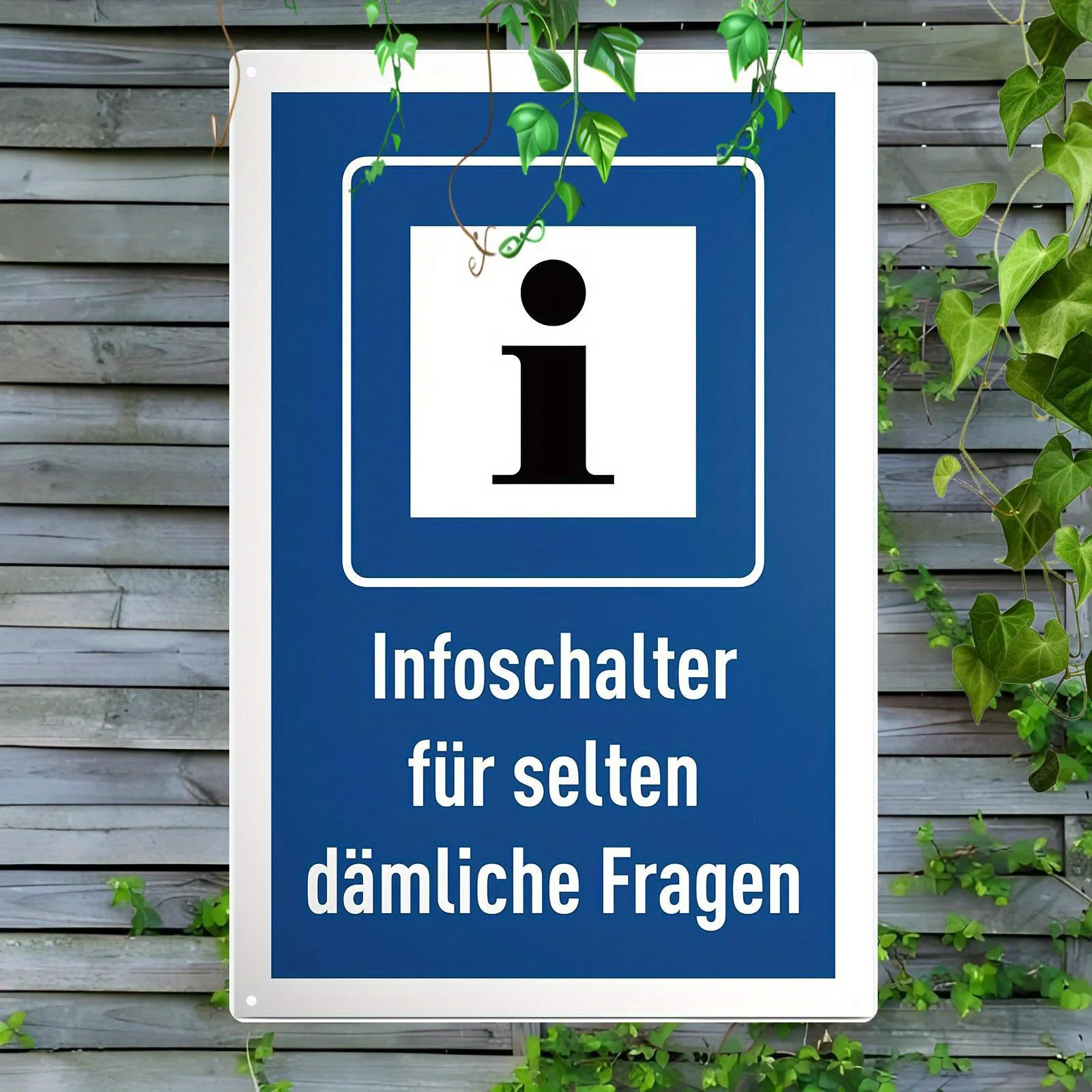 2D Flat - A Flat Aluminum Sign in German That Reads, 'Information Counter for Rarely Stupid Questions' Makes an Excellent Gift C