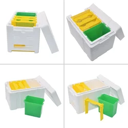 1 zestaw Queen Bee Mating Box Nucleus Hive Breeding Harvesting Foam Beekeeping Tools 24 * 16.5 * 15 Cm Outdoor Living Parts