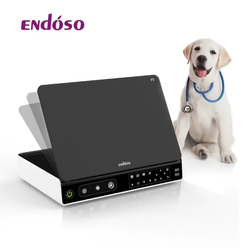 Veterinary Colonoscope System 4K Portable High-resolution for Equine Diagnose and Treatment
