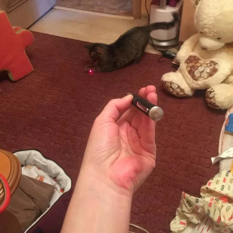2-in-1 Mini Laser Pointer LED Pet Training Flashlight Scratching Toys for Pets and Cats, Indicator Tools, Christmas Gifts