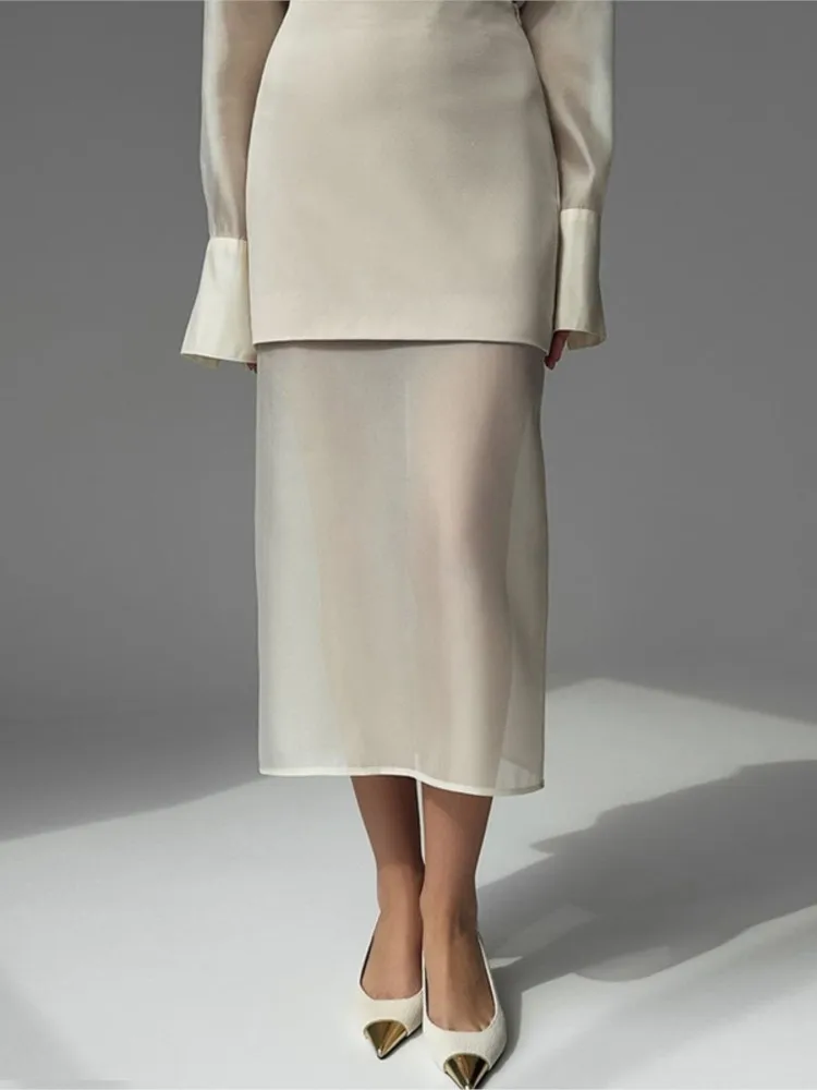 Set di gonne a rete sexy da donna 2025 nuova primavera vedere attraverso camicette + gonna lunga con giunture a vita alta elegante set da due pezzi da donna da ufficio