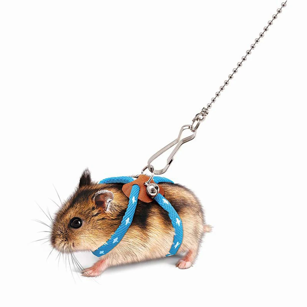 Adjustable Small Pet Harness Leash 6
