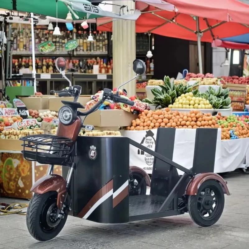 Hot Sale 48V 1000W Electric Assist Tricycle Motorized 3 Wheeler Mobility Scooter For Disabled & Elderly